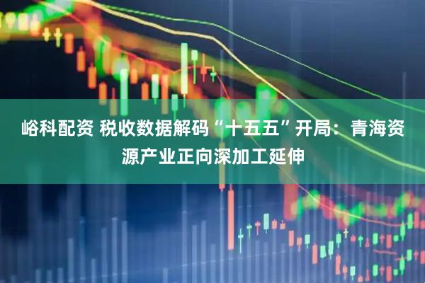 峪科配资 税收数据解码“十五五”开局：青海资源产业正向深加工延伸