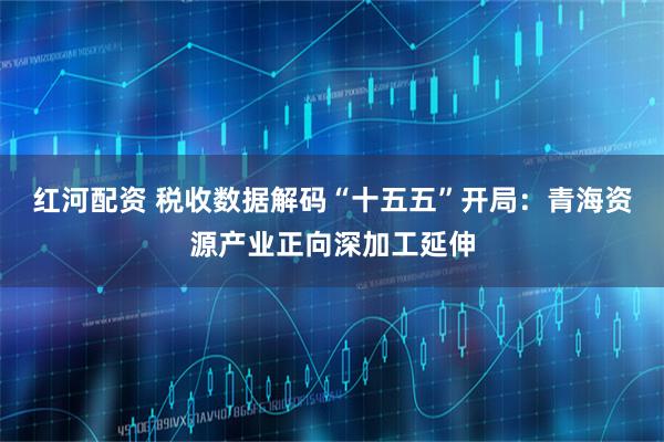 红河配资 税收数据解码“十五五”开局：青海资源产业正向深加工延伸