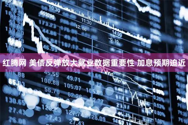 红腾网 美债反弹放大就业数据重要性 加息预期迫近