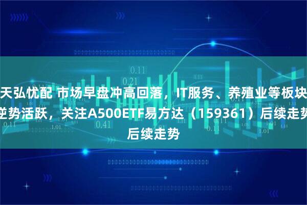 天弘忧配 市场早盘冲高回落，IT服务、养殖业等板块逆势活跃，关注A500ETF易方达（159361）后续走势
