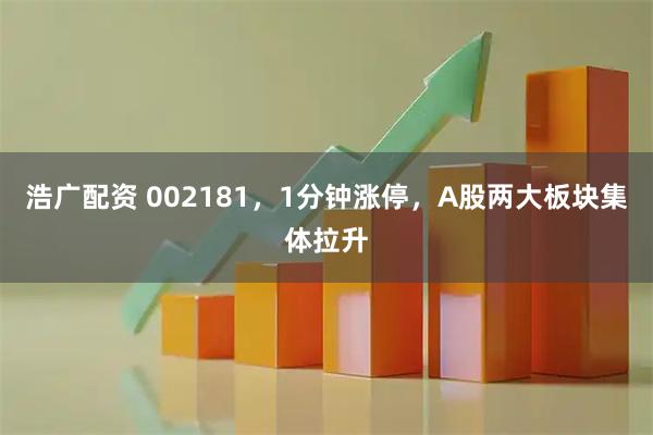 浩广配资 002181,1分钟涨停,A股两大板块集体拉升